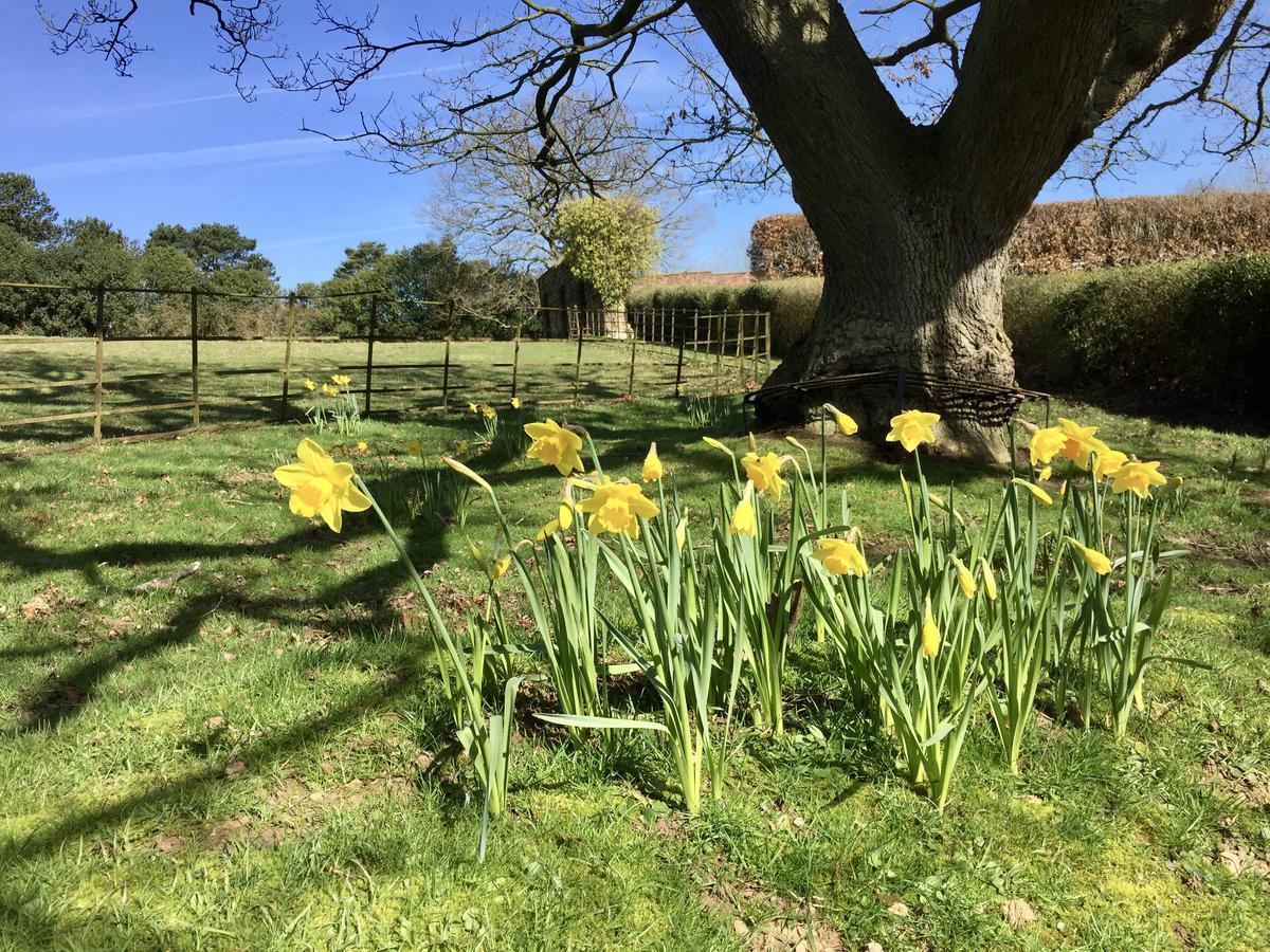 The Wrea Head Hall Country House Hotel & Restaurant スカーバラ エクステリア 写真